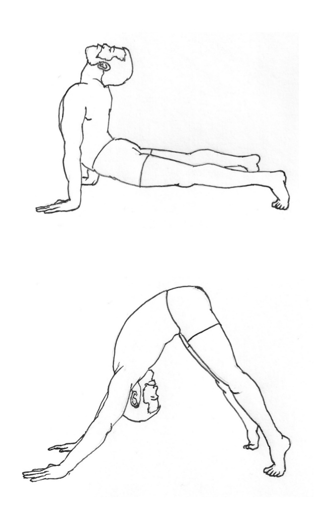 Yoga-Posen: Kobra und herabschauender Hund
