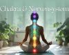 Chakra Meditation Nervensystem – Balancierung von Chakren und Vagusnerv | Chakra.Yogamentor.de